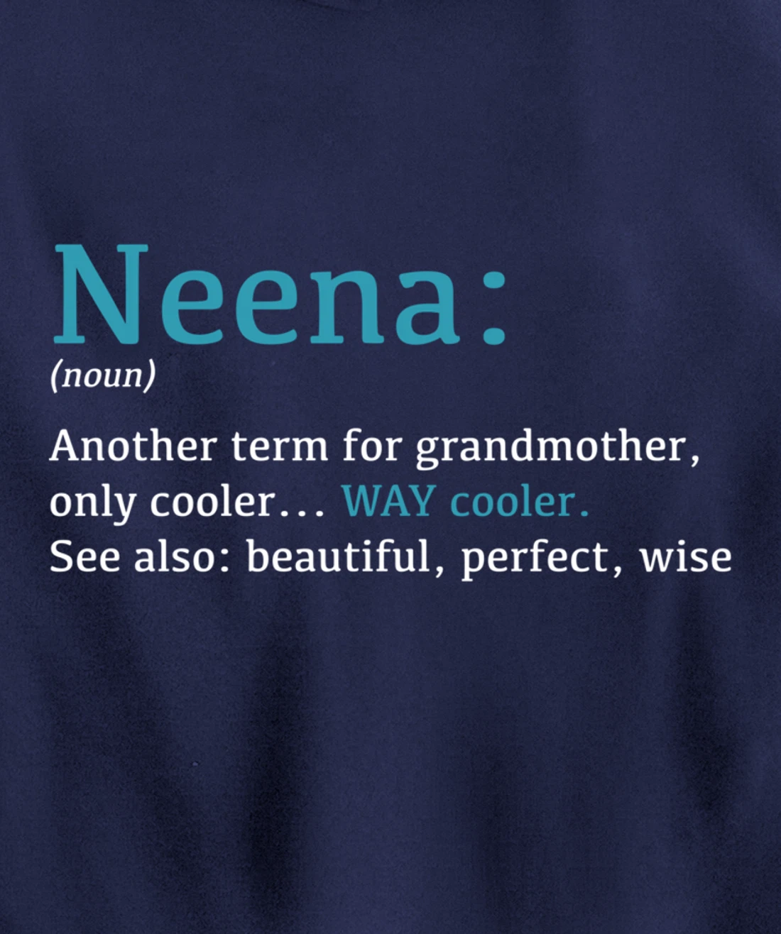 Neena: Funny Definition Noun - Another Term Pullover Hoodie