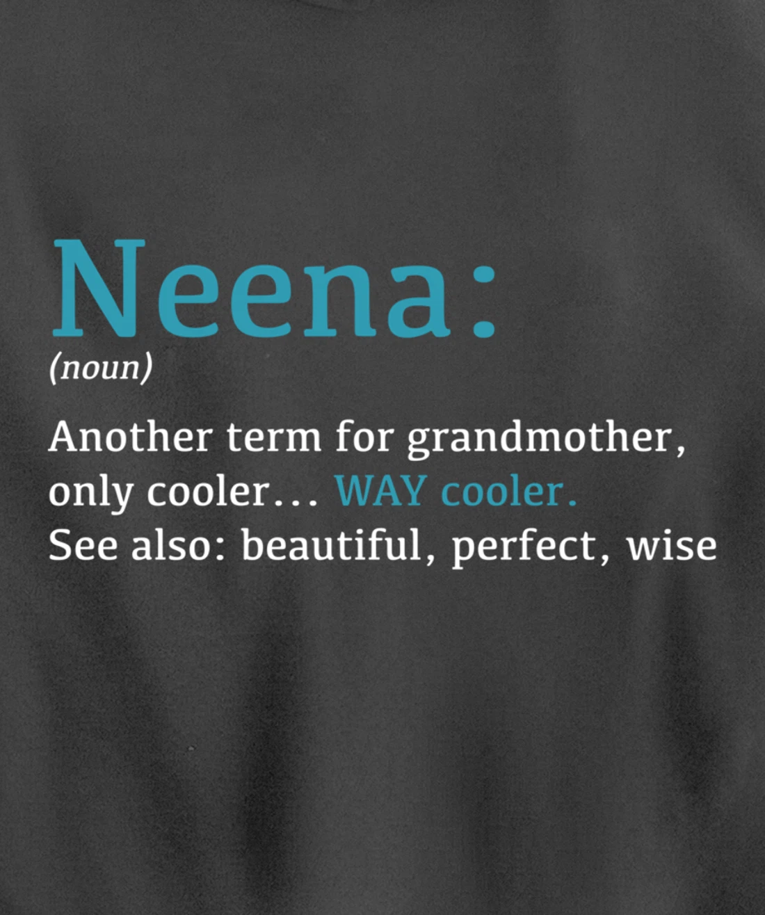 Neena: Funny Definition Noun - Another Term Pullover Hoodie