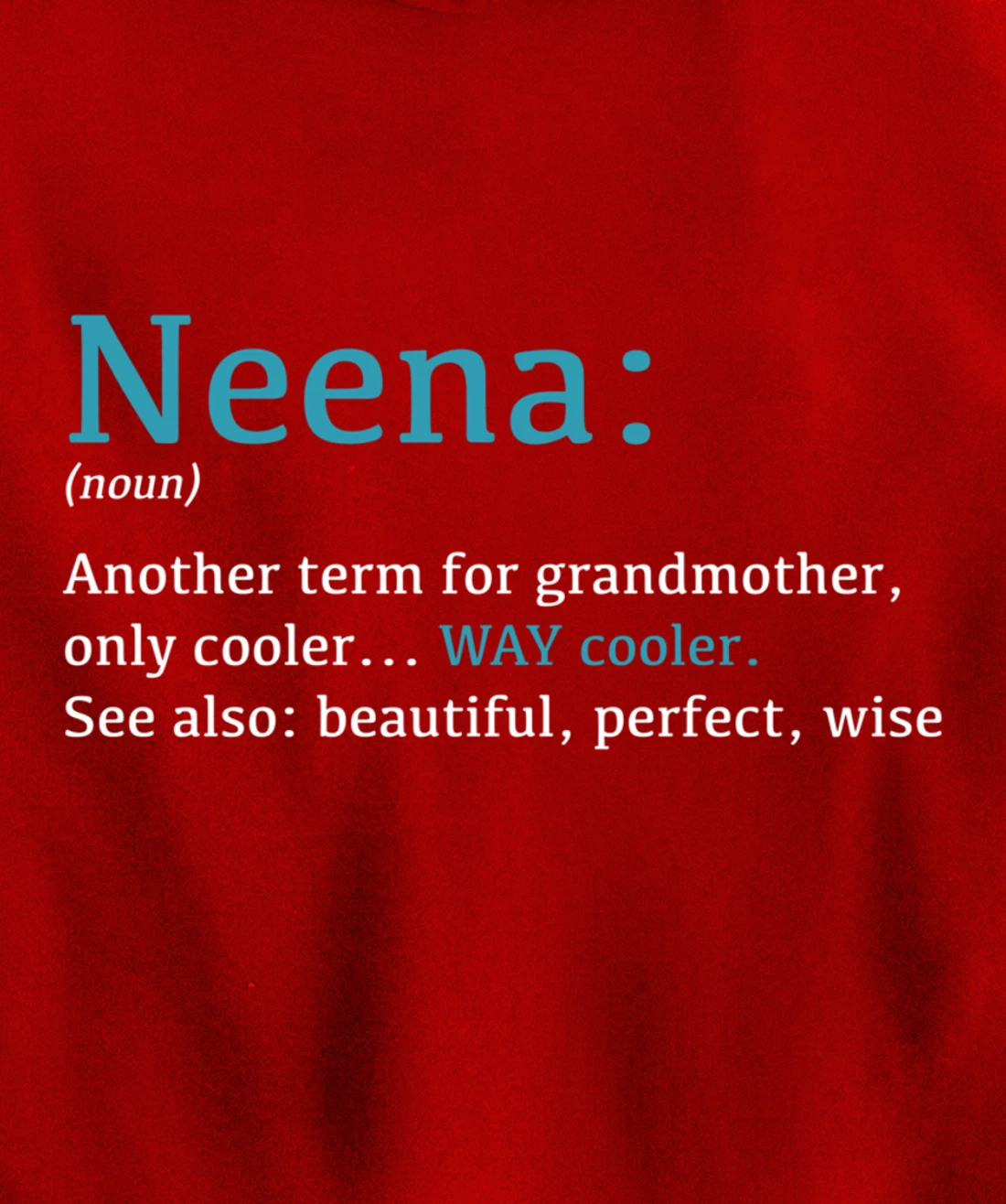Neena: Funny Definition Noun - Another Term Pullover Hoodie