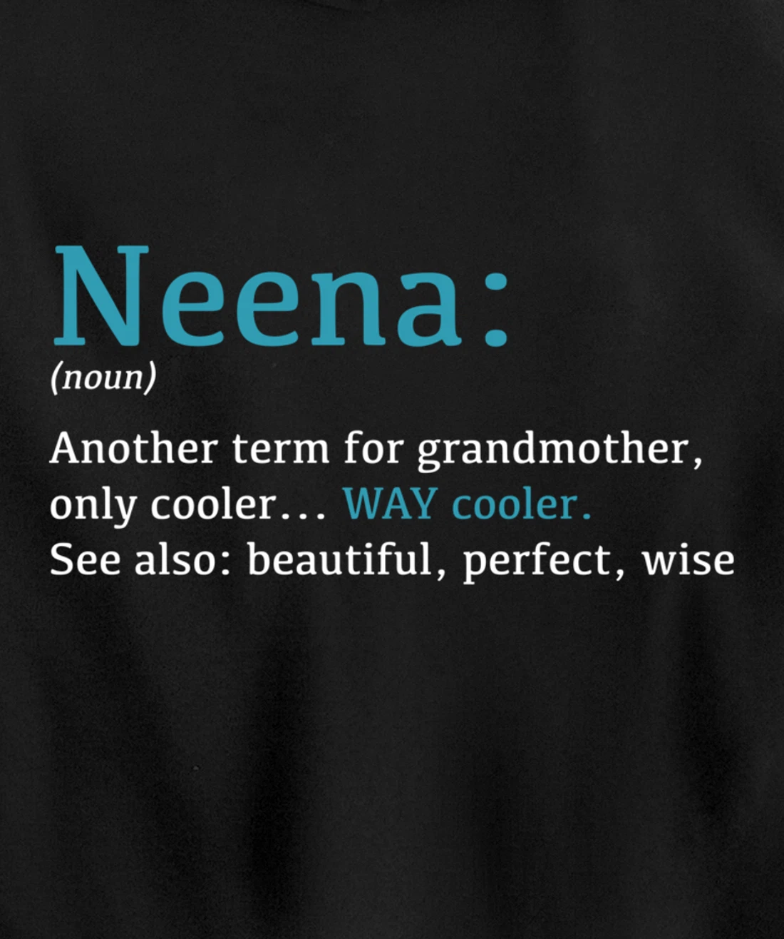Neena: Funny Definition Noun - Another Term Pullover Hoodie