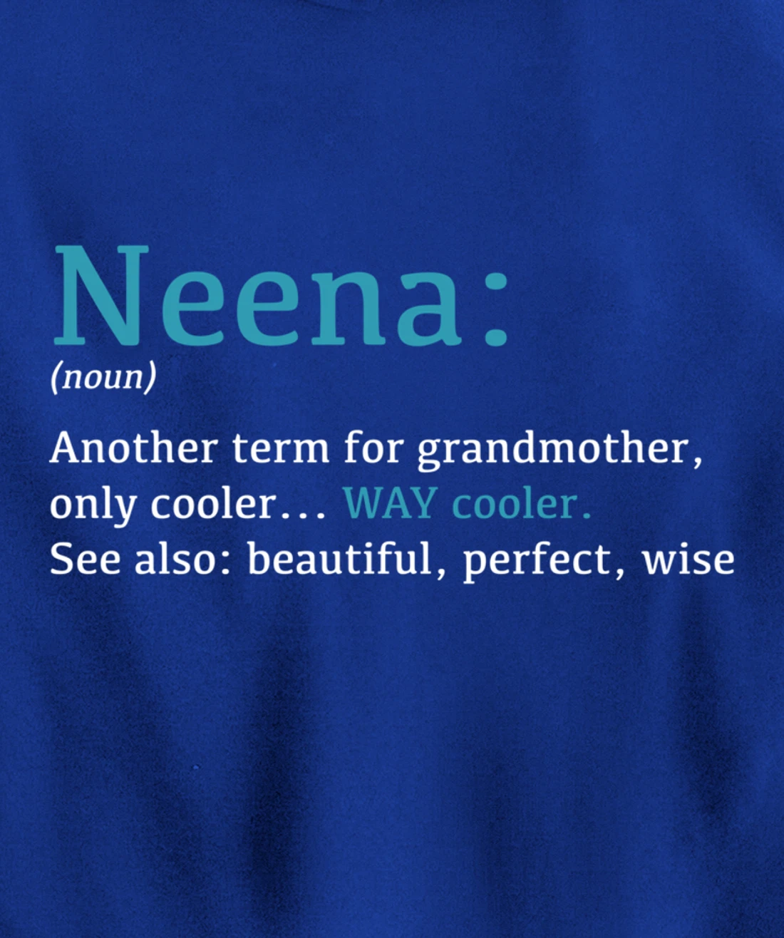 Neena: Funny Definition Noun - Another Term Pullover Hoodie