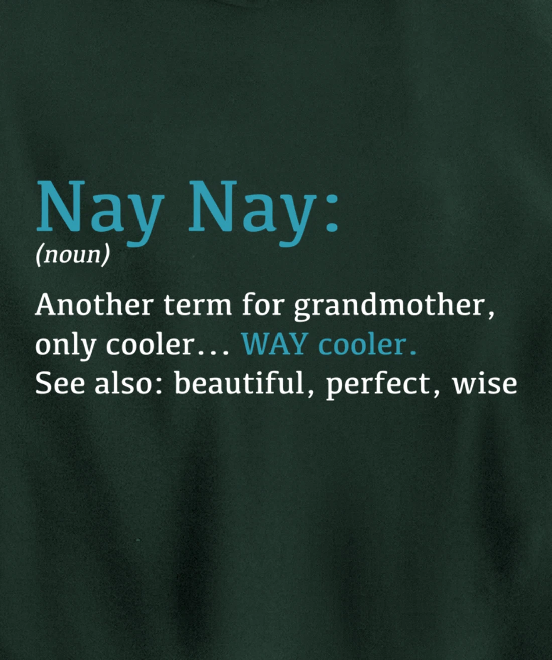 Nay Nay: Funny Definition Noun - Another Term Pullover Hoodie