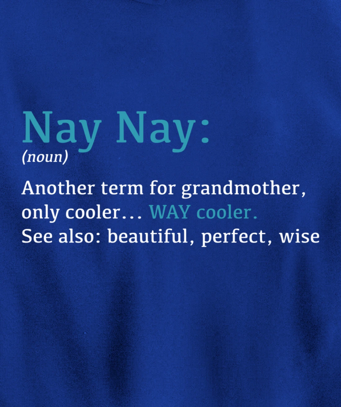 Nay Nay: Funny Definition Noun - Another Term Pullover Hoodie