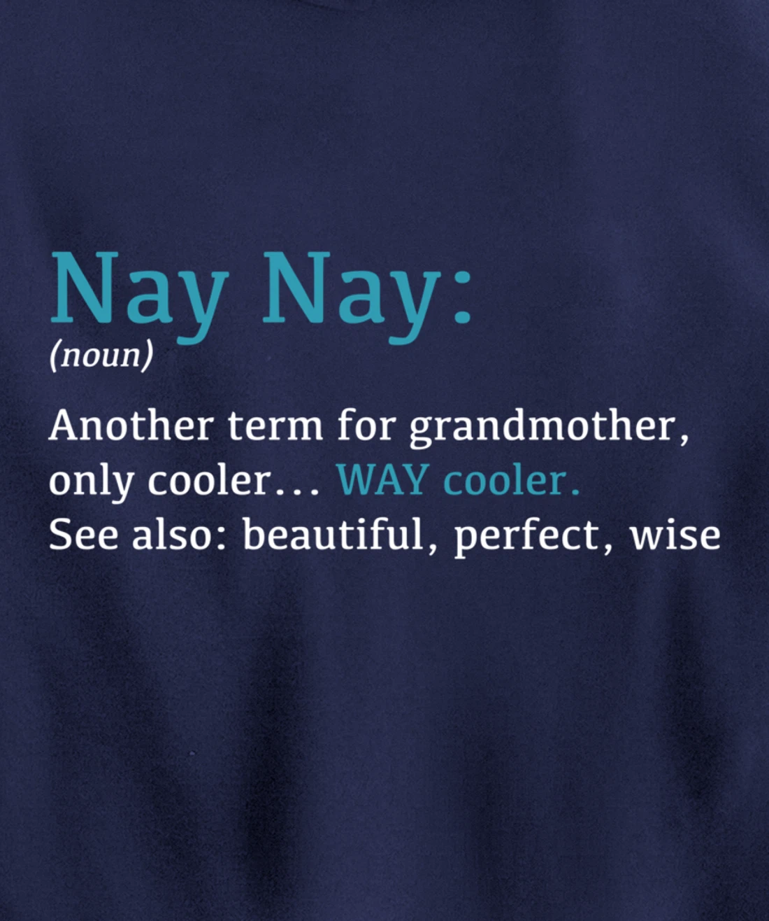 Nay Nay: Funny Definition Noun - Another Term Pullover Hoodie