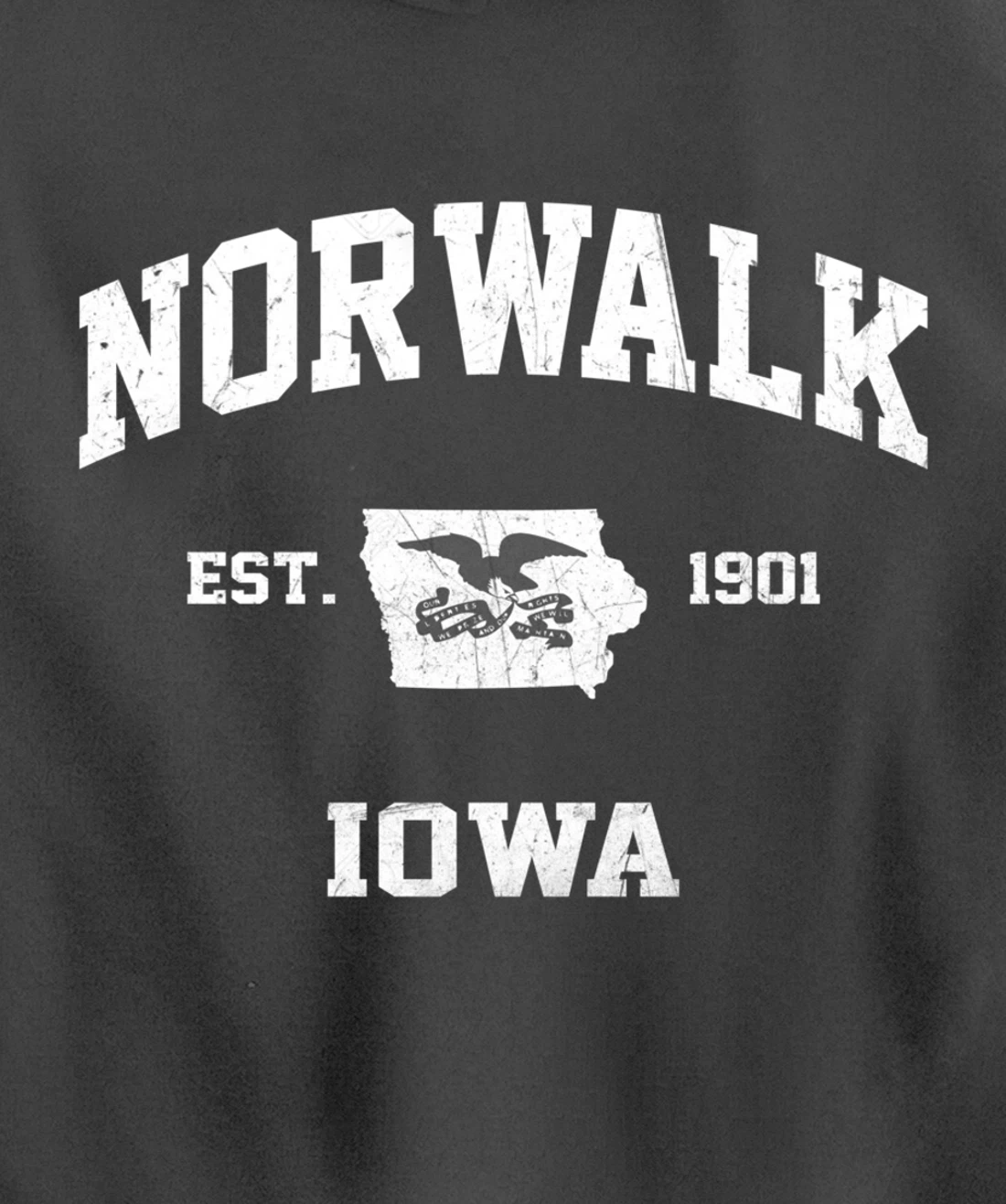 Norwalk Iowa IA vintage State Athletic style Pullover Hoodie