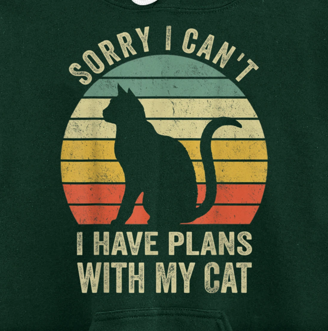 Sorry I Can't I Have Plans With My Cat Funny Animals Lovers Pullover Hoodie