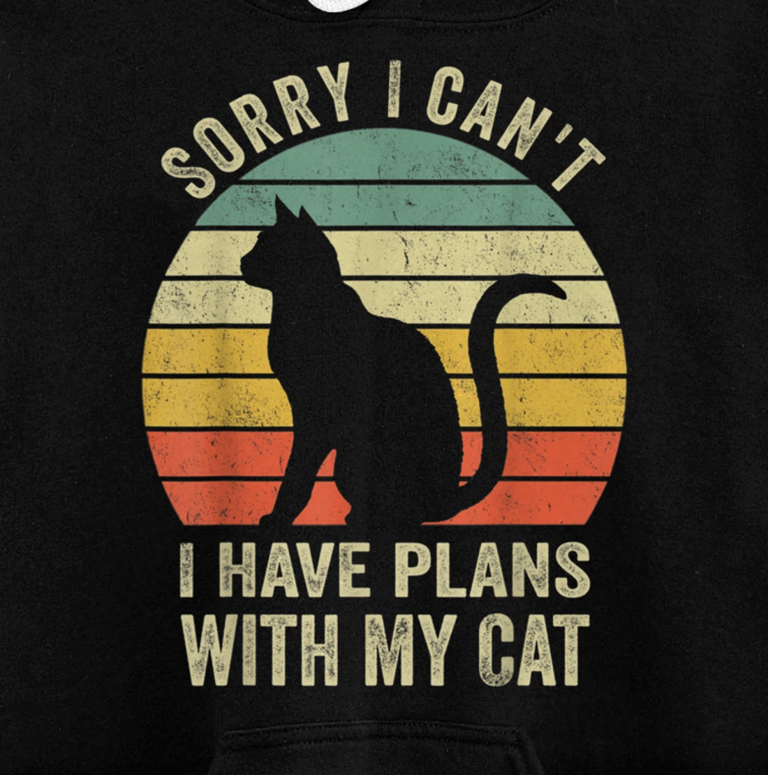 Sorry I Can't I Have Plans With My Cat Funny Animals Lovers Pullover Hoodie