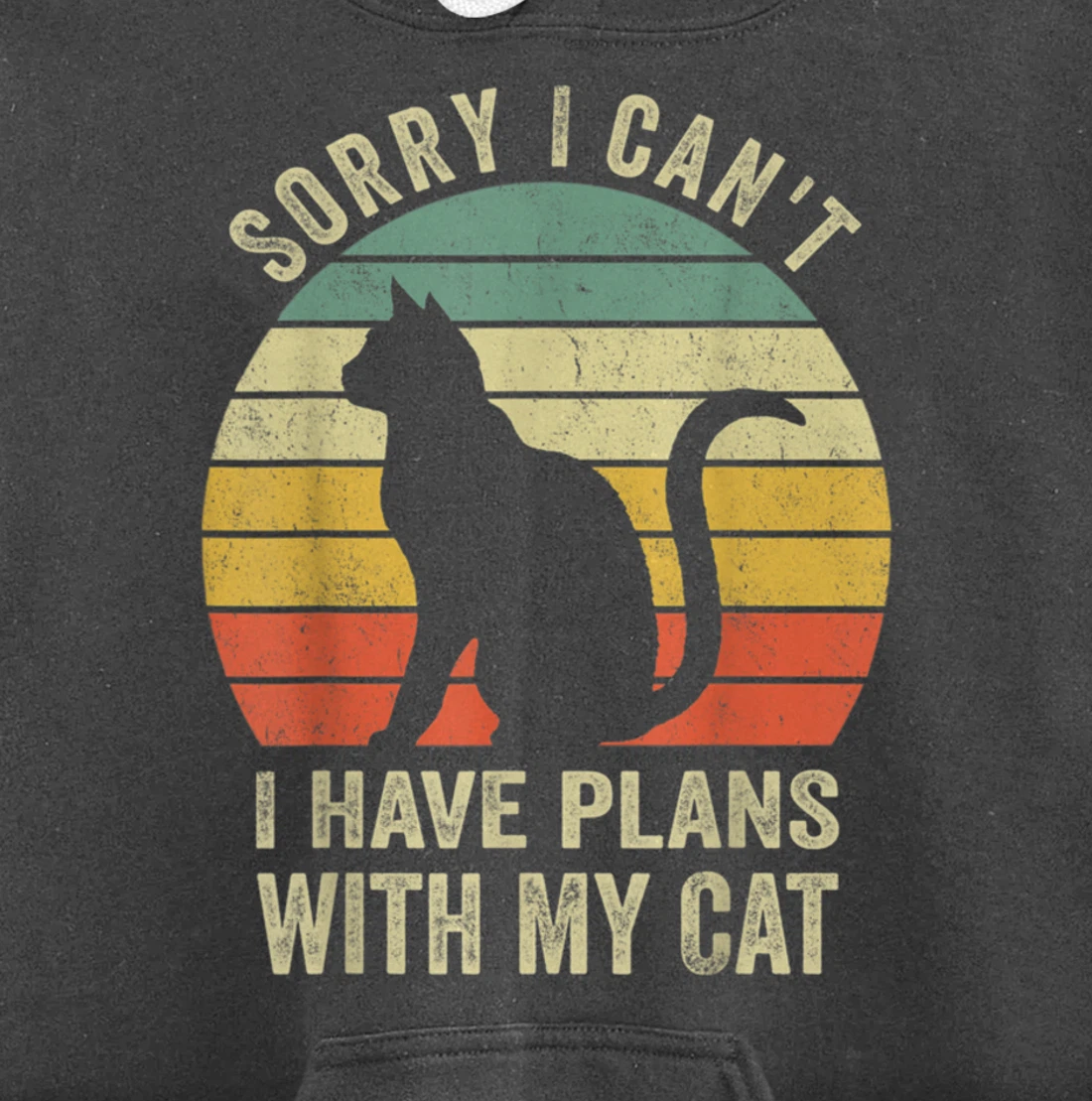 Sorry I Can't I Have Plans With My Cat Funny Animals Lovers Pullover Hoodie