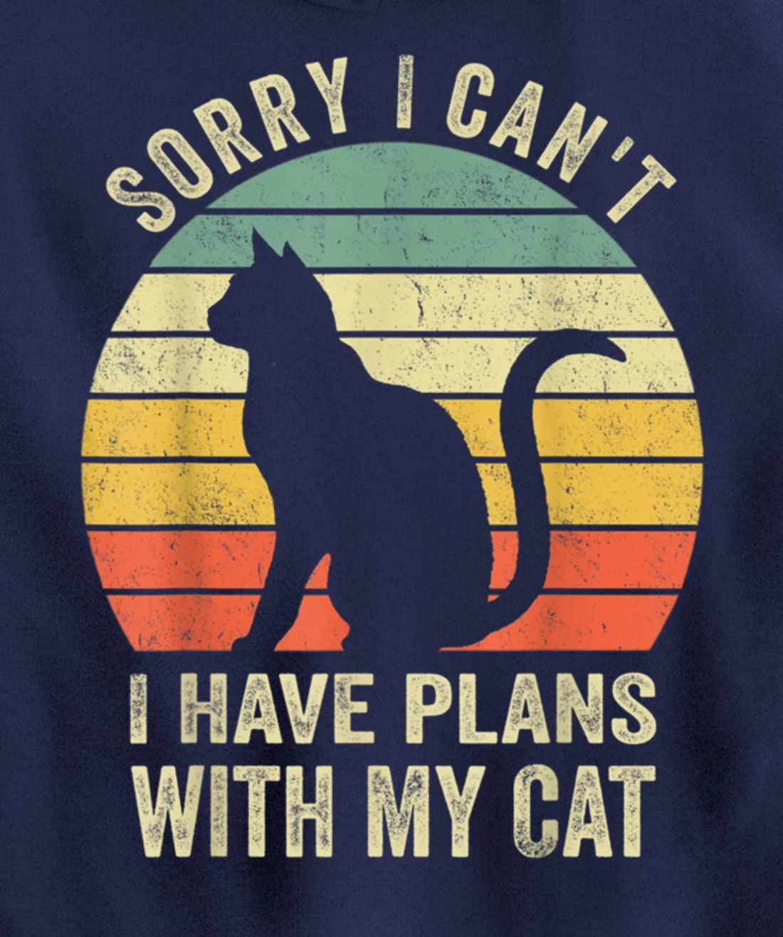 Sorry I Can't I Have Plans With My Cat Funny Animals Lovers Pullover Hoodie