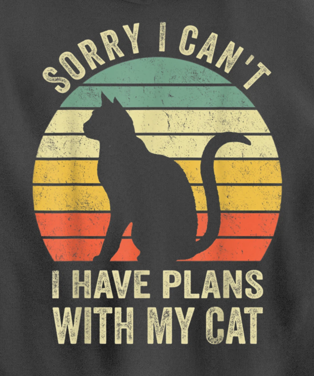 Sorry I Can't I Have Plans With My Cat Funny Animals Lovers Pullover Hoodie