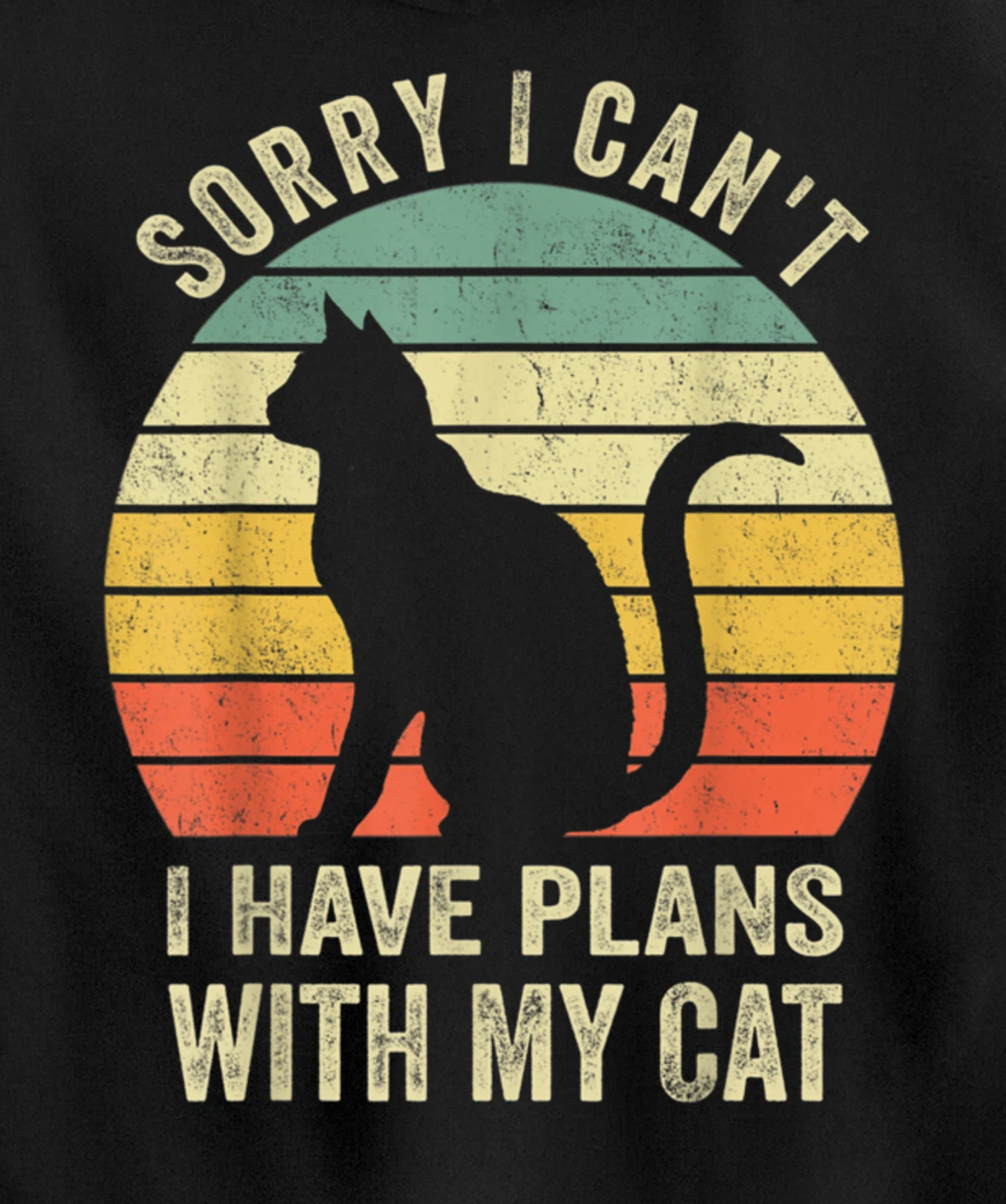 Sorry I Can't I Have Plans With My Cat Funny Animals Lovers Pullover Hoodie