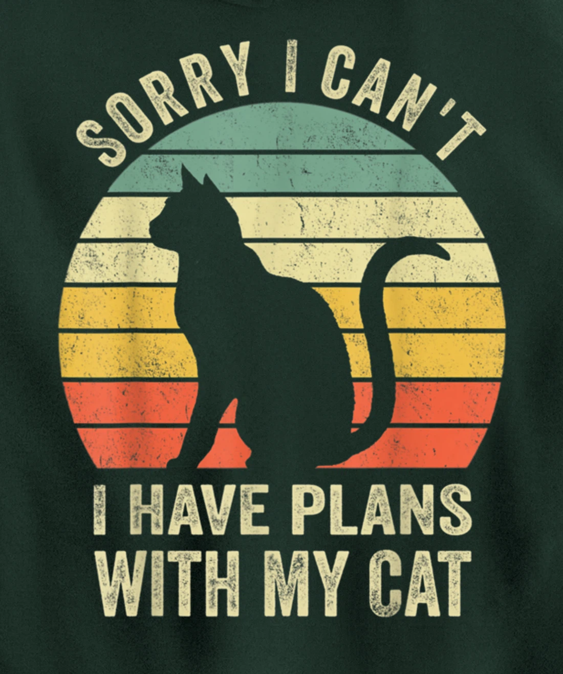 Sorry I Can't I Have Plans With My Cat Funny Animals Lovers Pullover Hoodie