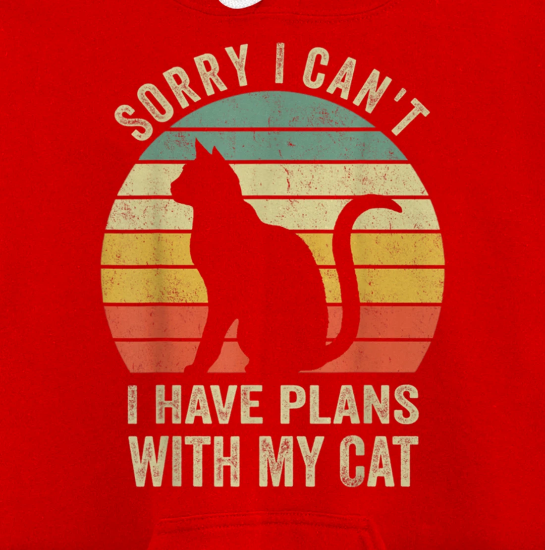 Sorry I Can't I Have Plans With My Cat Funny Animals Lovers Pullover Hoodie