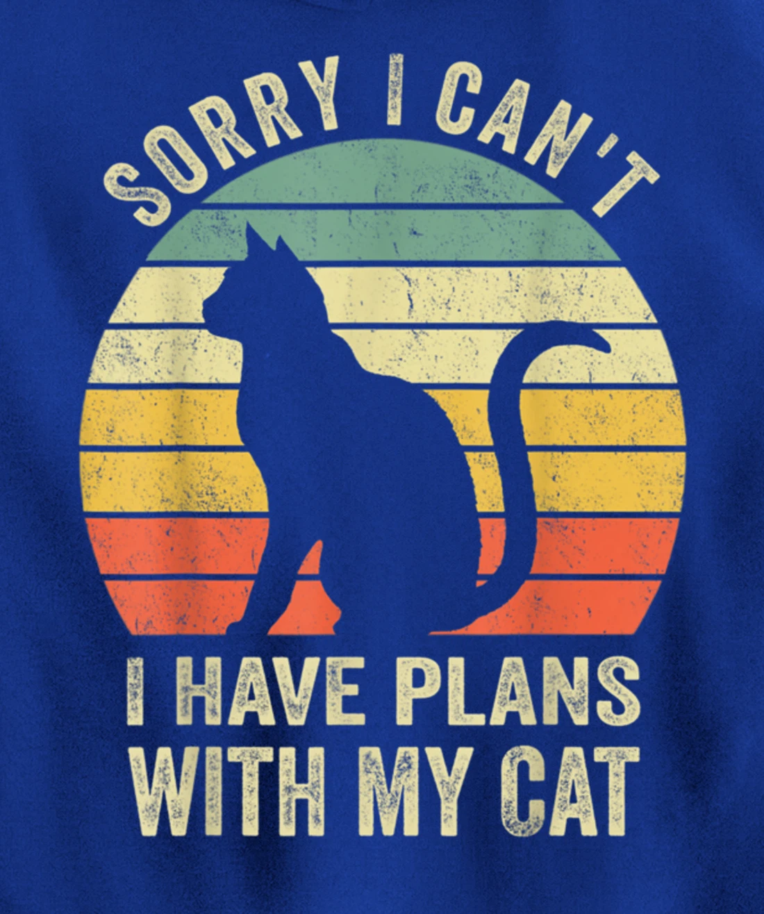 Sorry I Can't I Have Plans With My Cat Funny Animals Lovers Pullover Hoodie