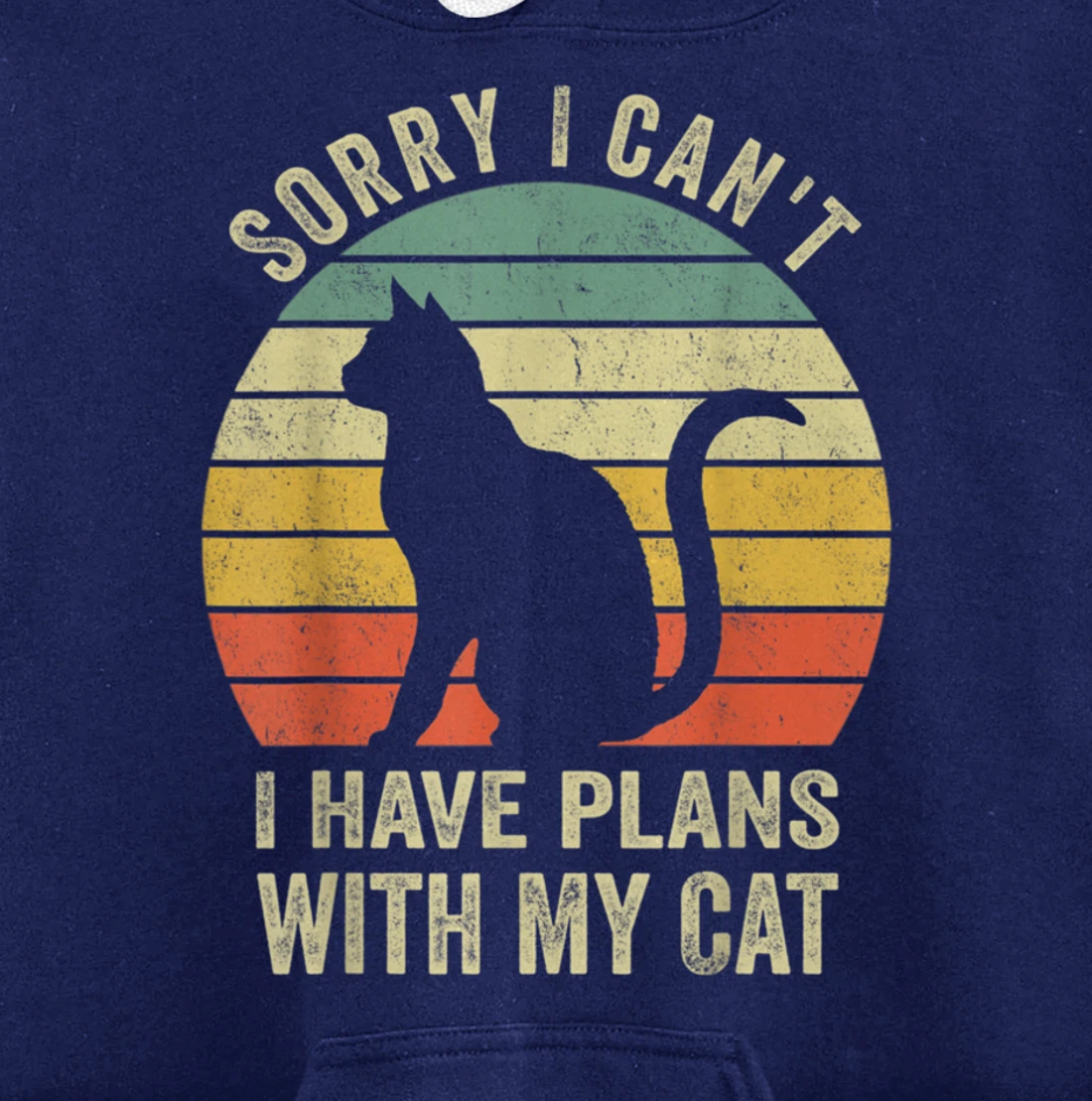 Sorry I Can't I Have Plans With My Cat Funny Animals Lovers Pullover Hoodie