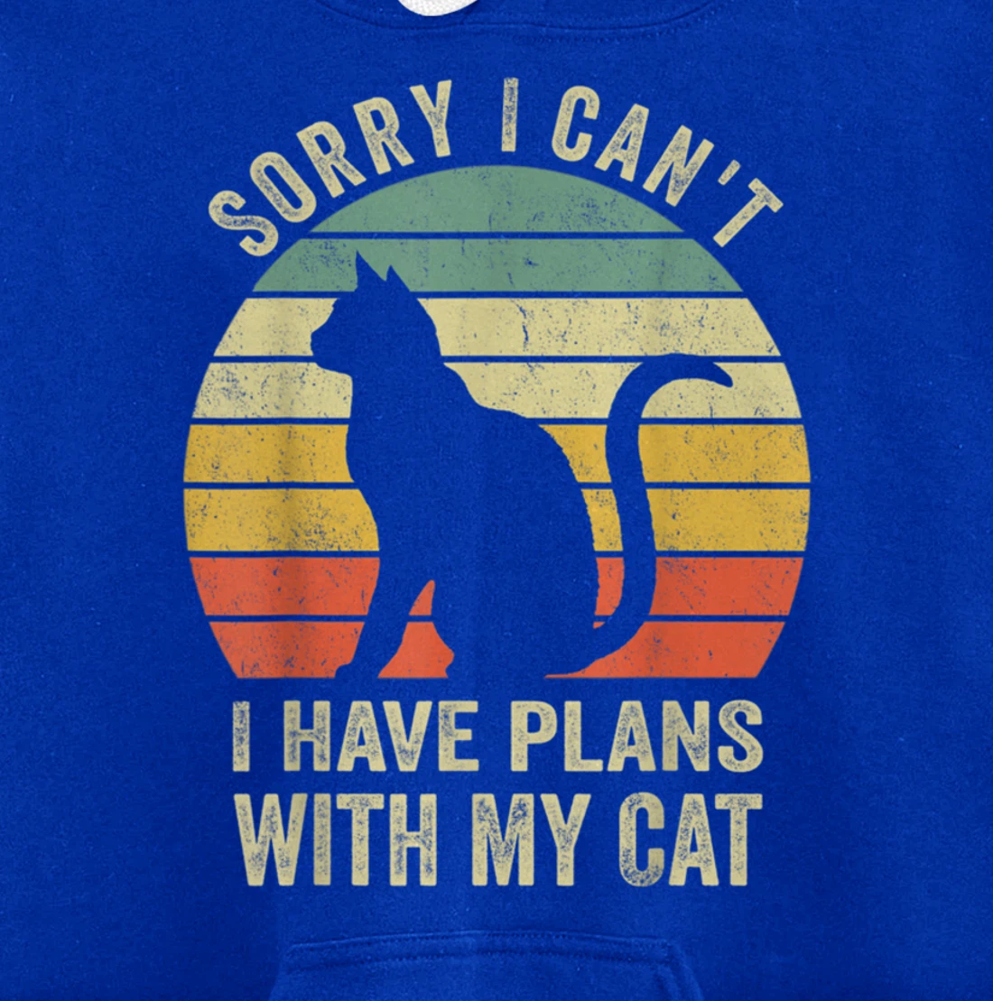 Sorry I Can't I Have Plans With My Cat Funny Animals Lovers Pullover Hoodie