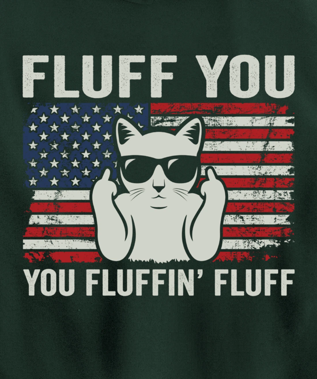 Fluff You Fluffin' Fluff - Patriotic 4th July USA Funny Cat Pullover Hoodie