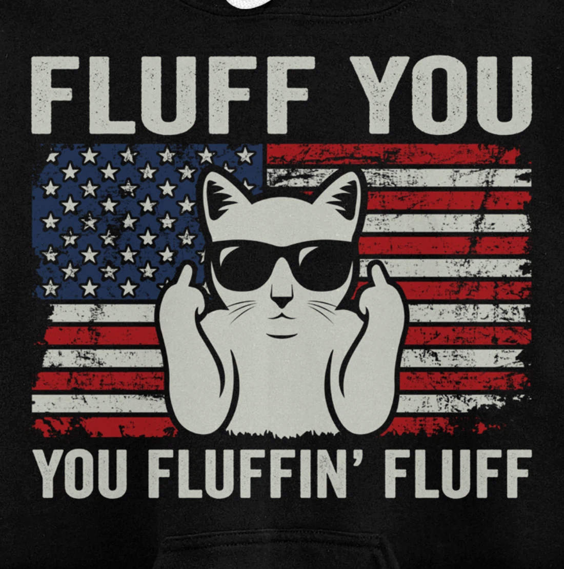 Fluff You Fluffin' Fluff - Funny Patriotic Cat USA (ON BACK) Pullover Hoodie