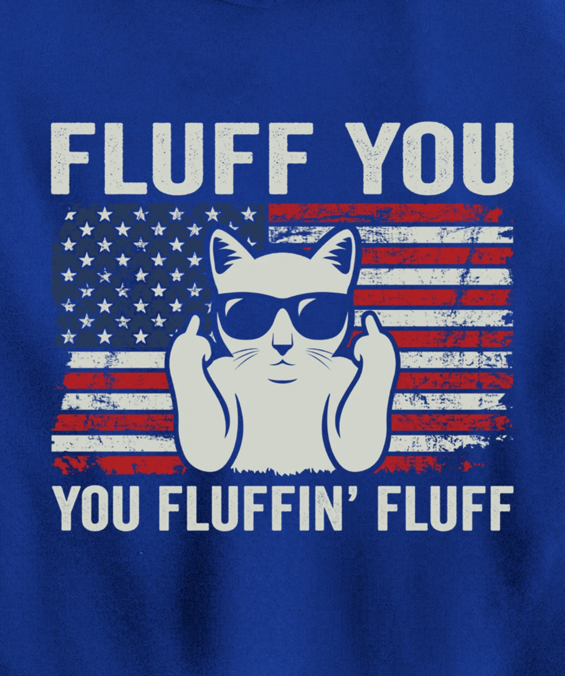 Fluff You Fluffin' Fluff - Funny Patriotic Cat USA (ON BACK) Pullover Hoodie