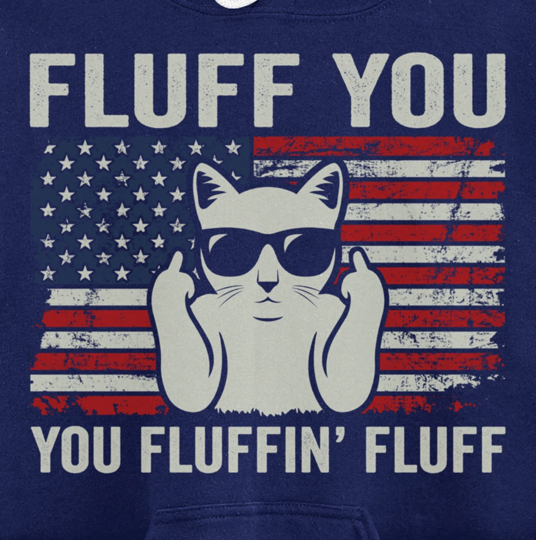 Fluff You Fluffin' Fluff - Funny Patriotic Cat USA (ON BACK) Pullover Hoodie