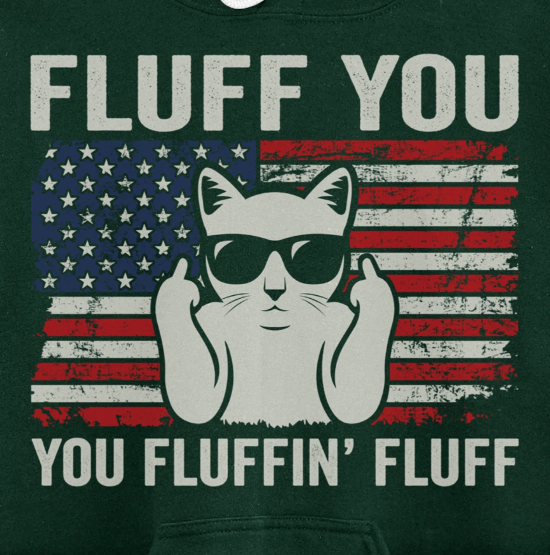 Fluff You Fluffin' Fluff - Funny Patriotic Cat USA (ON BACK) Pullover Hoodie