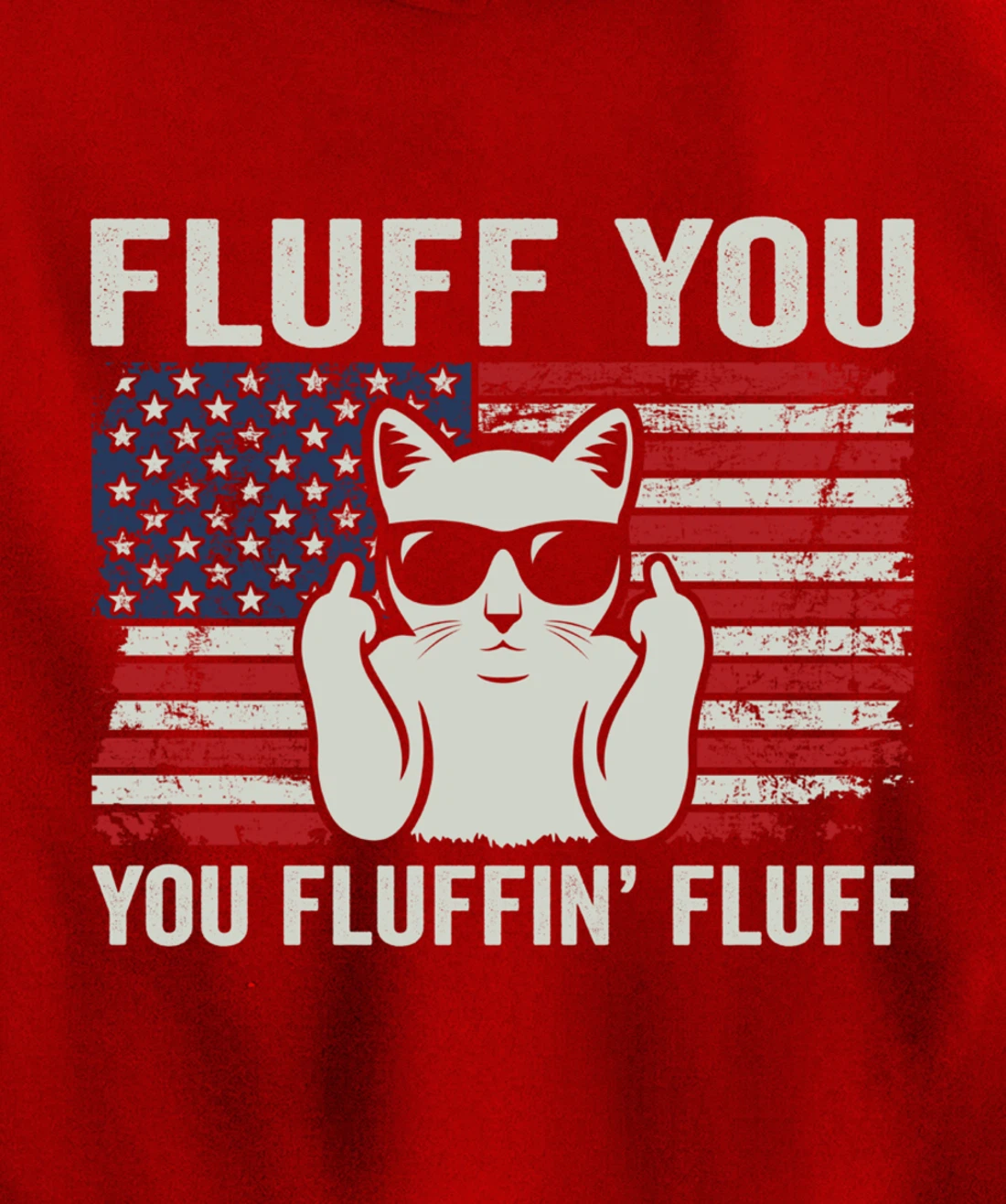 Fluff You Fluffin' Fluff - Funny Patriotic Cat USA (ON BACK) Pullover Hoodie