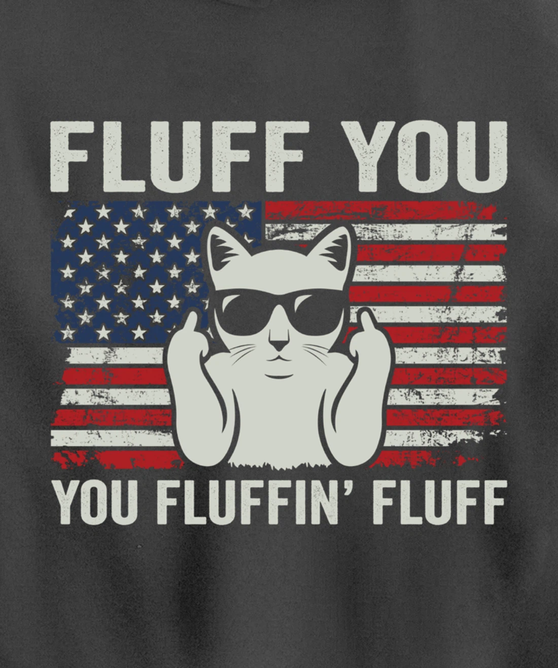 Fluff You Fluffin' Fluff - Funny Patriotic Cat USA (ON BACK) Pullover Hoodie