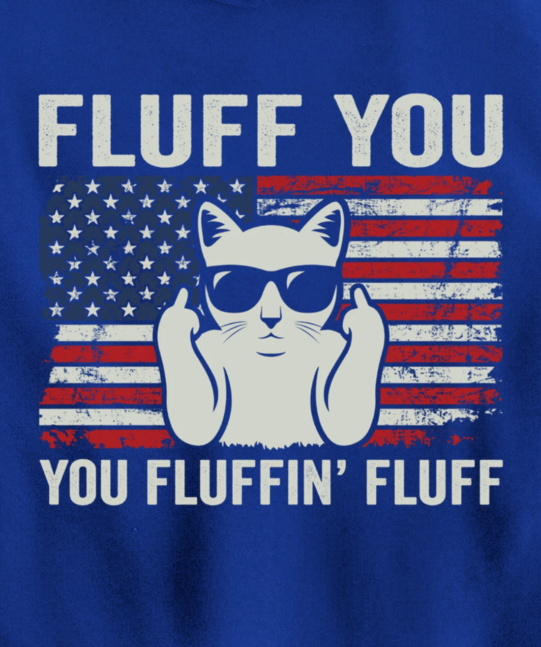 Fluff You Fluffin' Fluff - Patriotic 4th July USA Funny Cat Pullover Hoodie