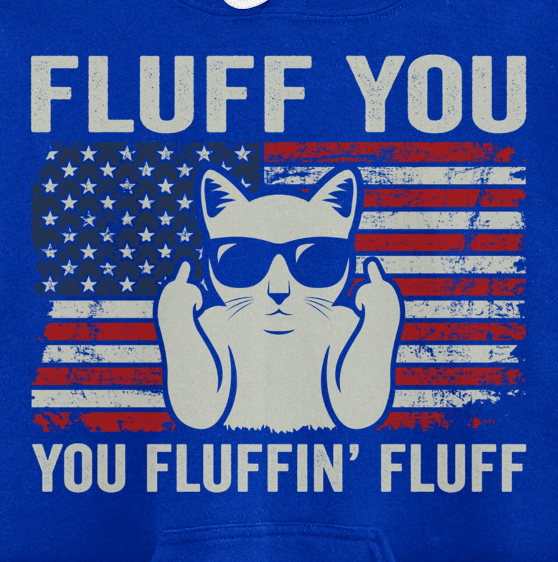 Fluff You Fluffin' Fluff - Funny Patriotic Cat USA (ON BACK) Pullover Hoodie