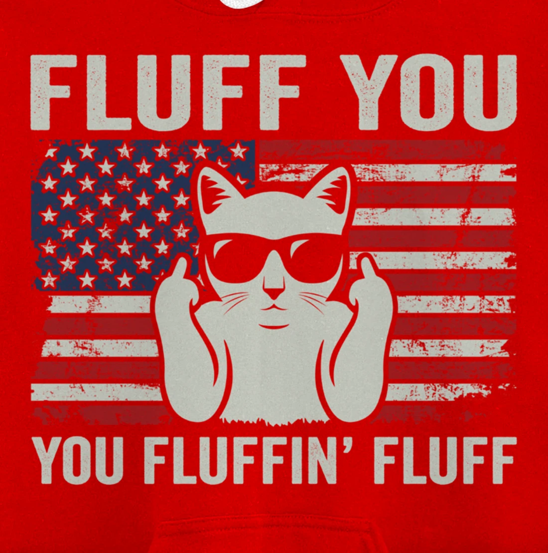 Fluff You Fluffin' Fluff - Funny Patriotic Cat USA (ON BACK) Pullover Hoodie