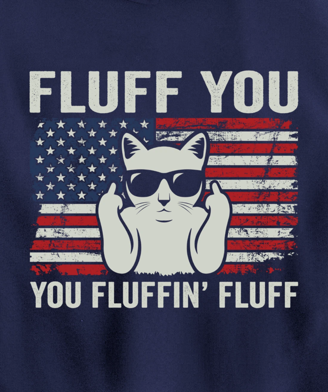 Fluff You Fluffin' Fluff - Funny Patriotic Cat USA (ON BACK) Pullover Hoodie