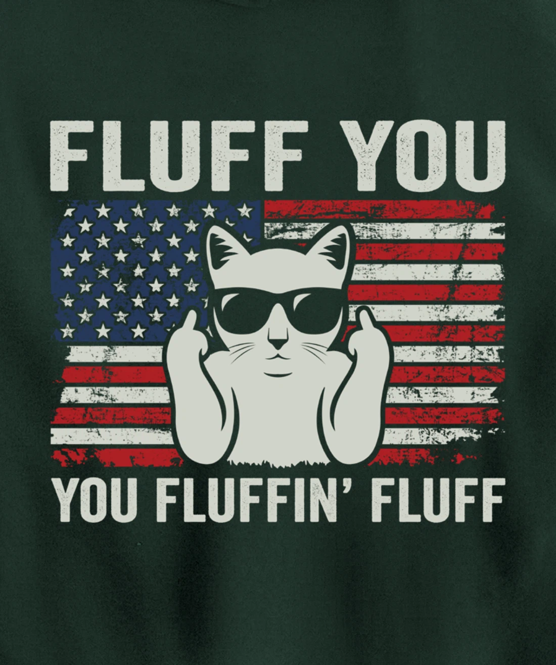 Fluff You Fluffin' Fluff - Funny Patriotic Cat USA (ON BACK) Pullover Hoodie