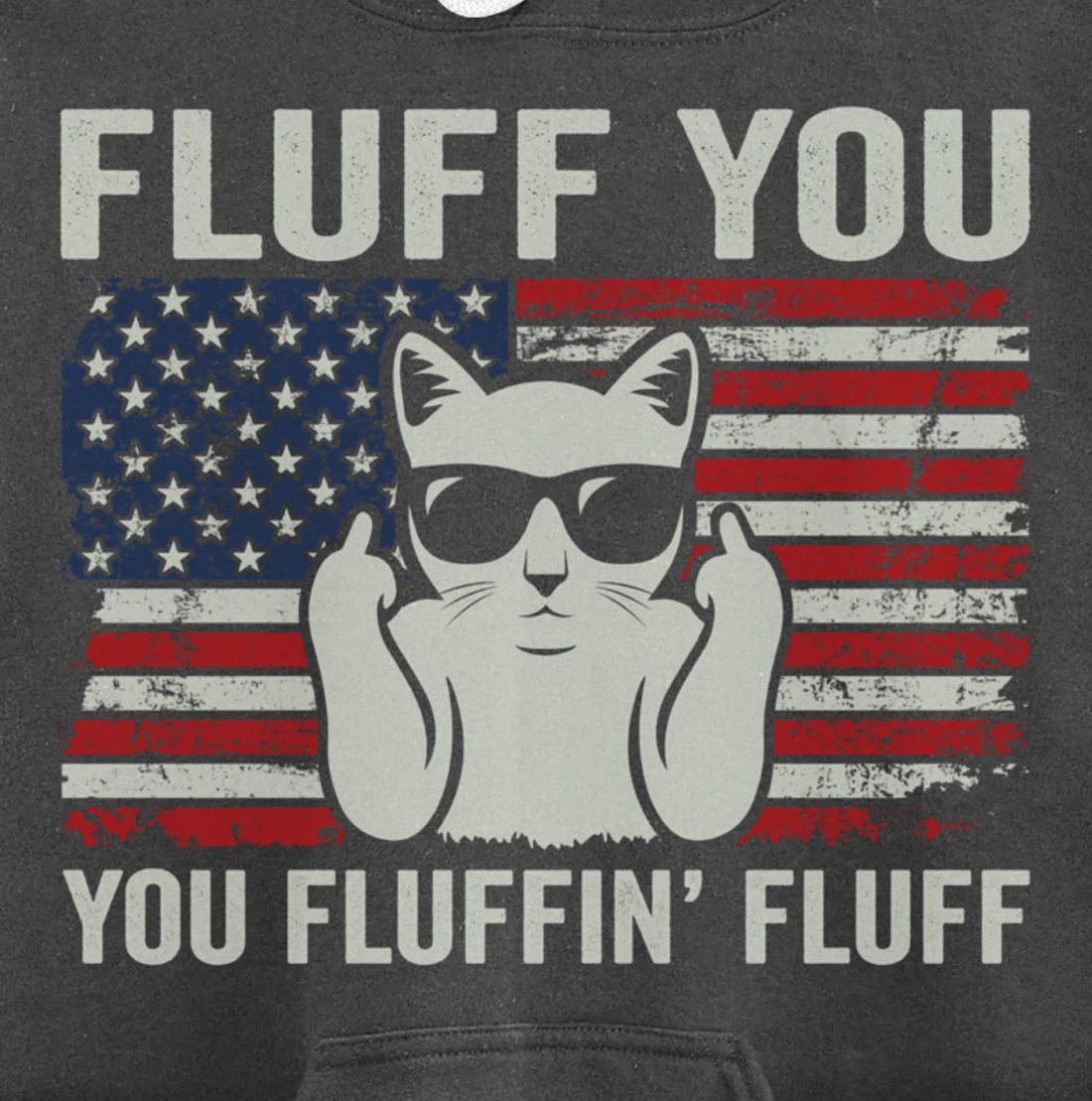 Fluff You Fluffin' Fluff - Funny Patriotic Cat USA (ON BACK) Pullover Hoodie