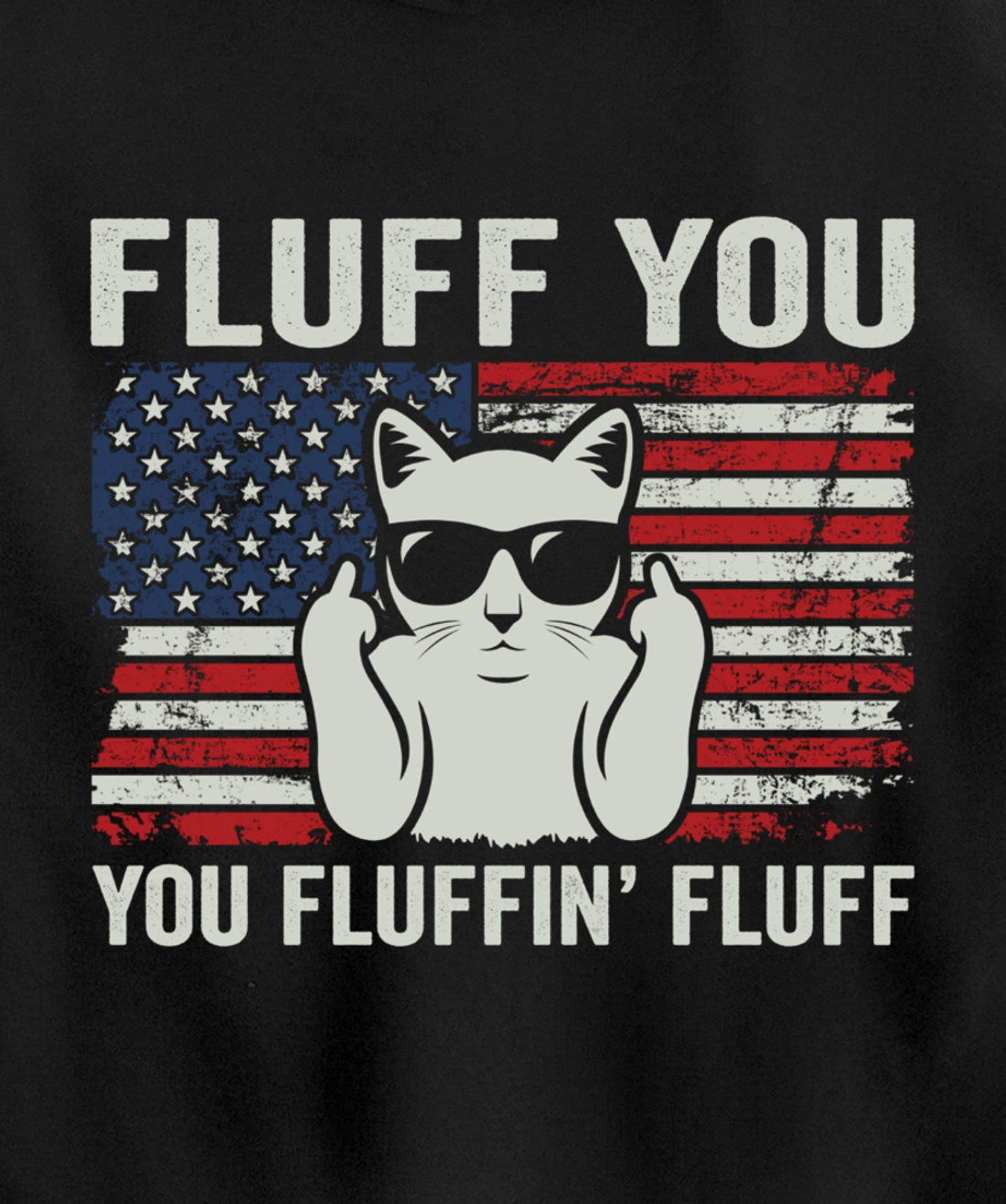 Fluff You Fluffin' Fluff - Funny Patriotic Cat USA (ON BACK) Pullover Hoodie