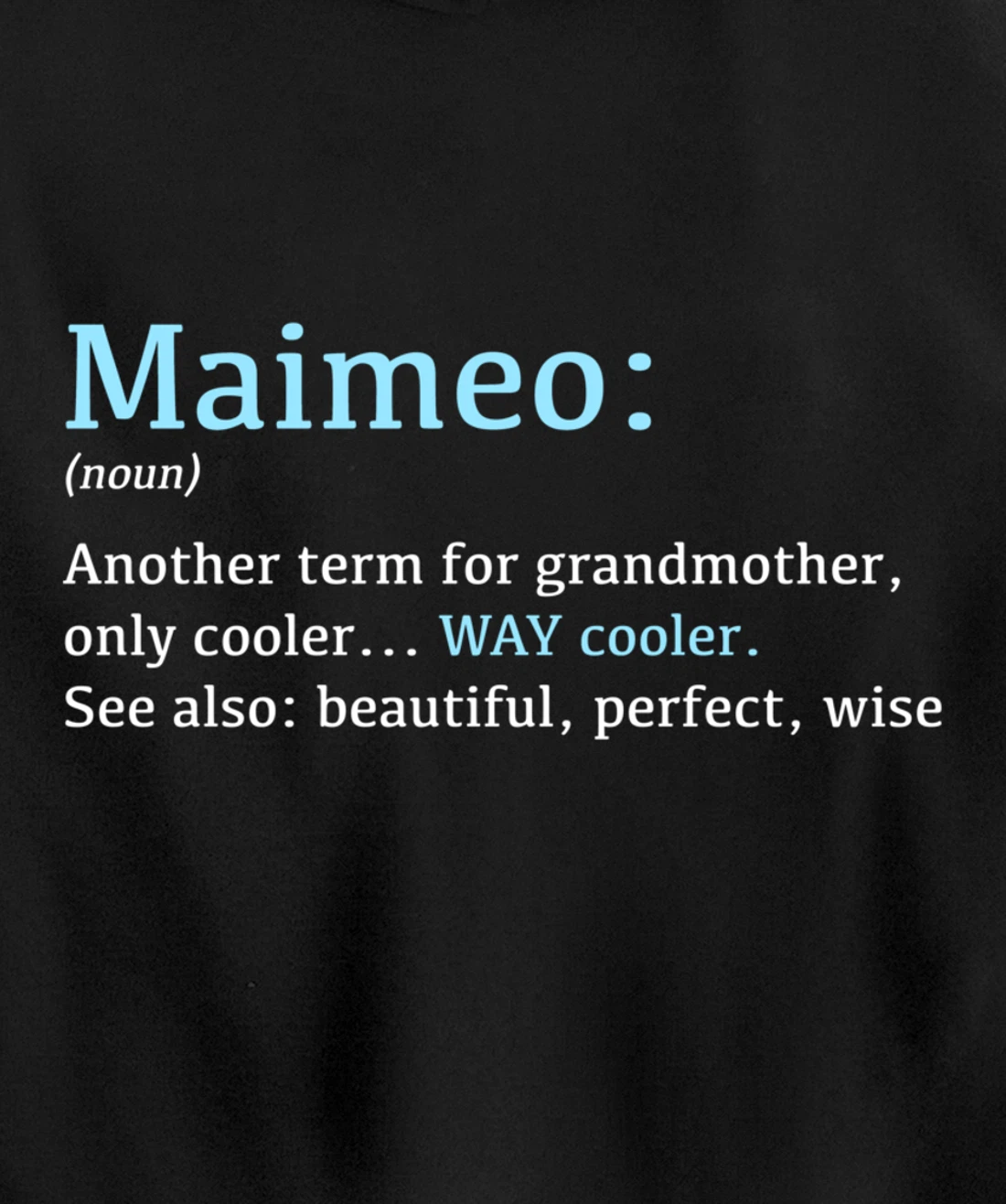 Maimeo: Funny Definition Noun - Another Term Pullover Hoodie
