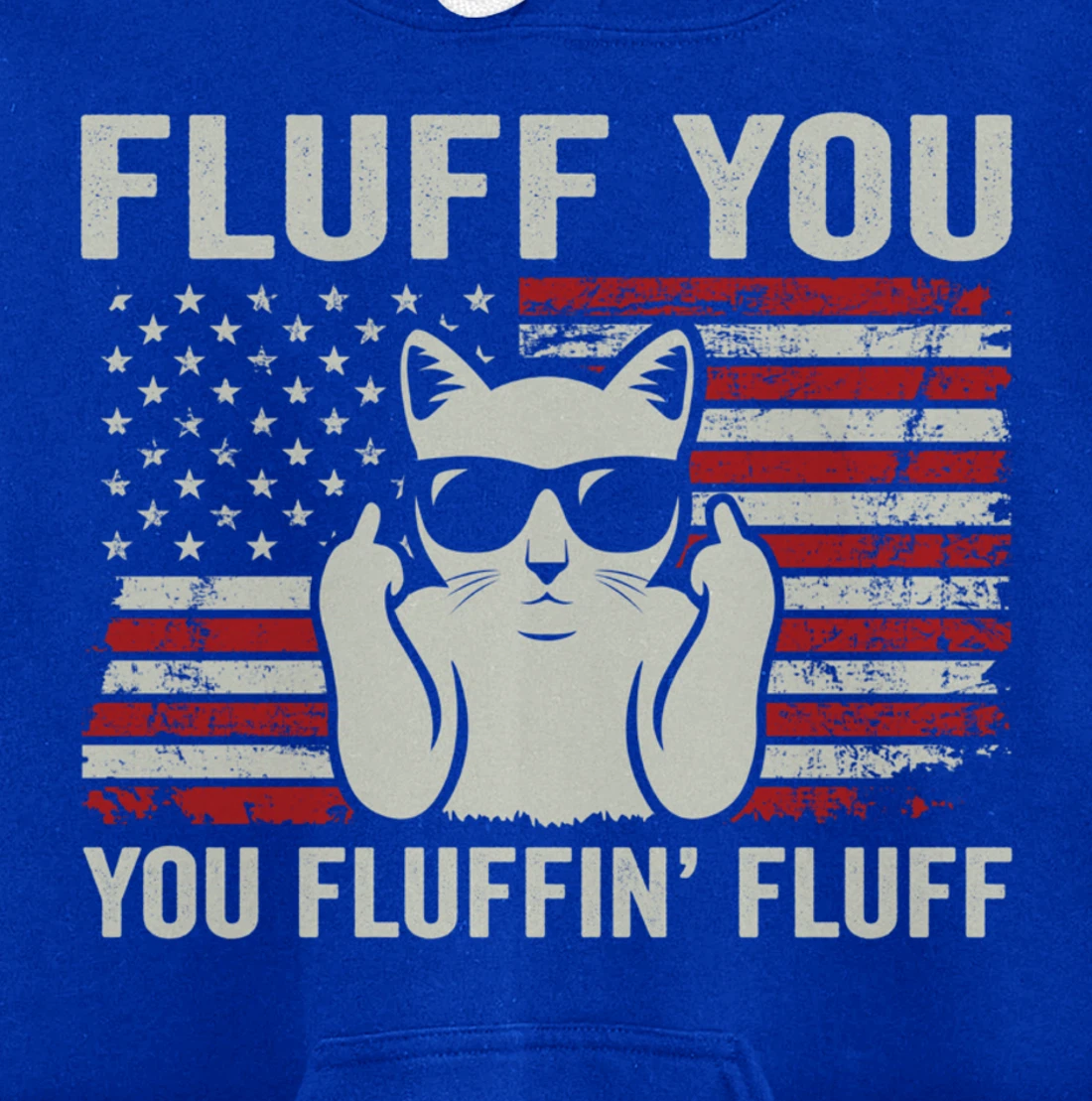 Fluff You Fluffin' Fluff - Patriotic USA Flag Funny Cat Pullover Hoodie