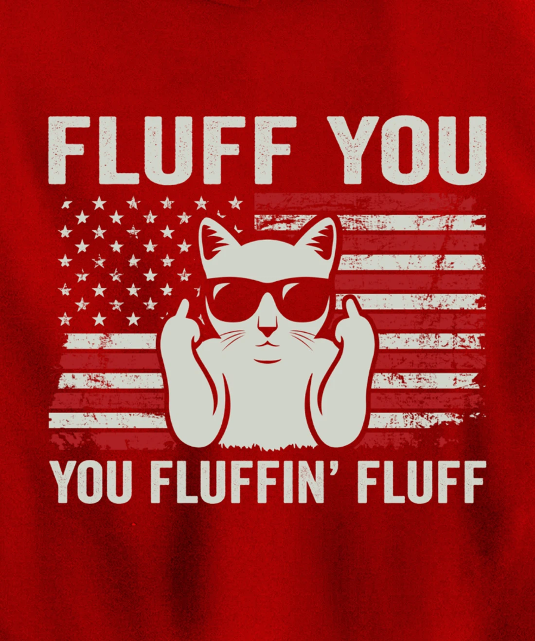 Fluff You Fluffin' Fluff - Funny Cat USA Flag (ON BACK) Pullover Hoodie