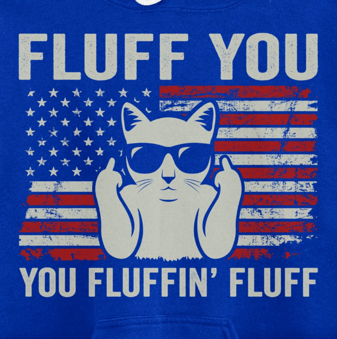 Fluff You Fluffin' Fluff - Funny Cat USA Flag (ON BACK) Pullover Hoodie