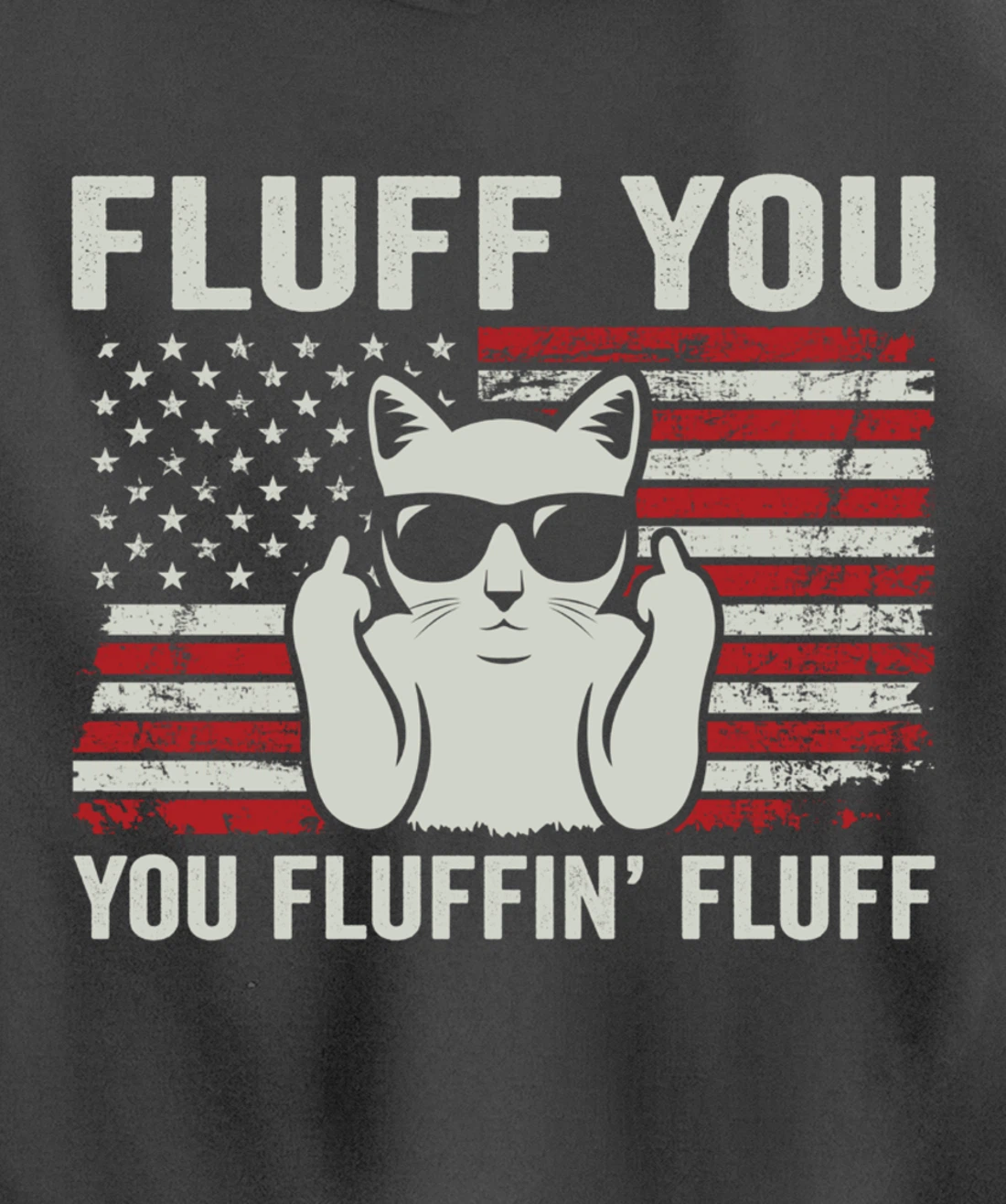 Fluff You Fluffin' Fluff - Patriotic USA Flag Funny Cat Pullover Hoodie