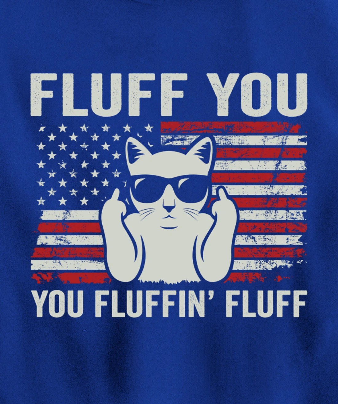 Fluff You Fluffin' Fluff - Funny Cat USA Flag (ON BACK) Pullover Hoodie