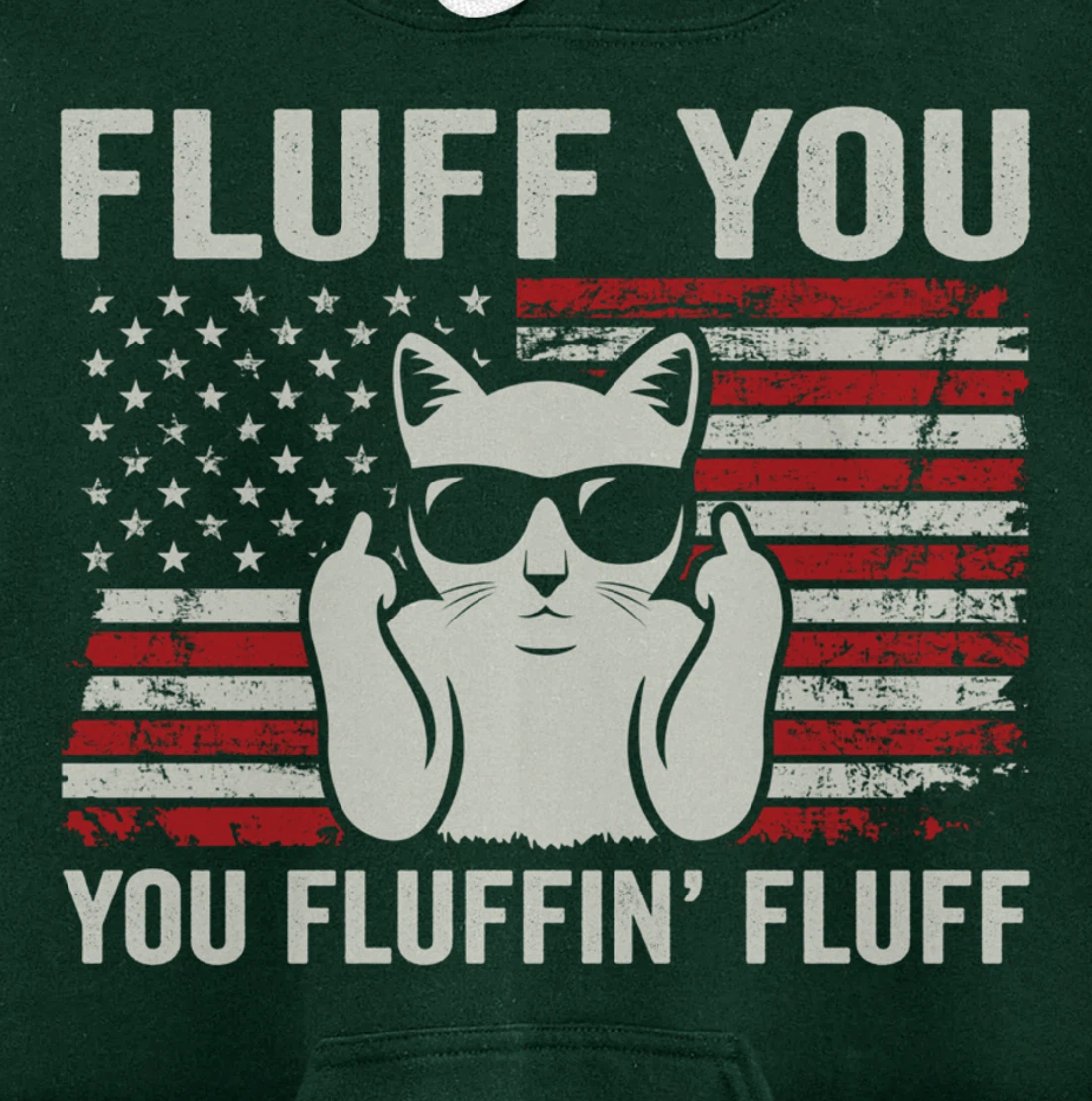 Fluff You Fluffin' Fluff - Funny Cat USA Flag (ON BACK) Pullover Hoodie