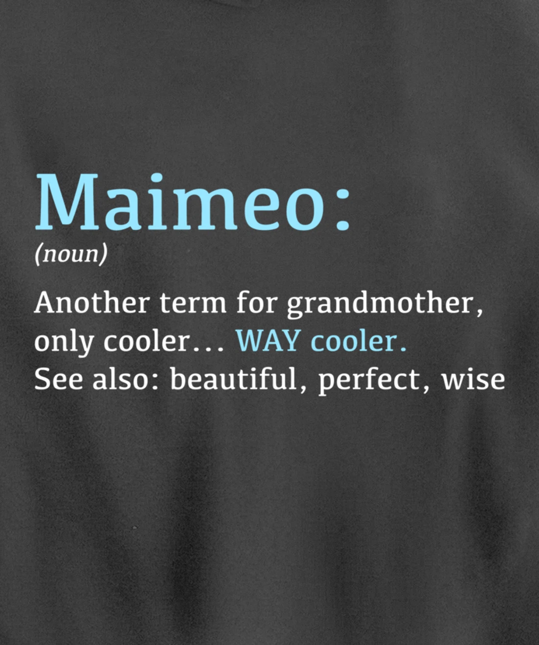Maimeo: Funny Definition Noun - Another Term Pullover Hoodie