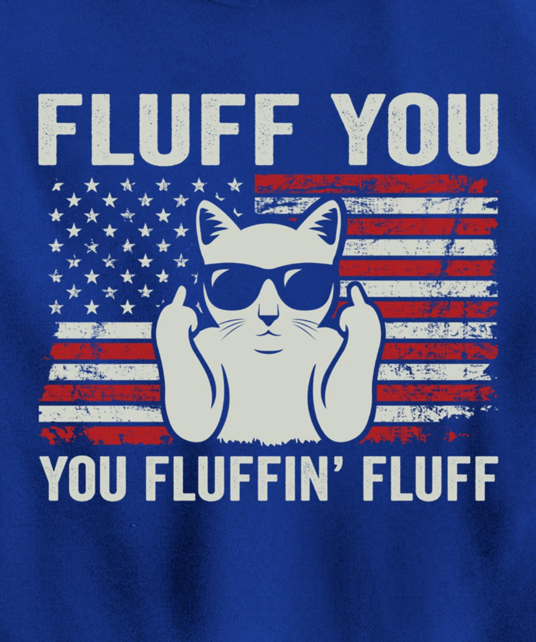Fluff You Fluffin' Fluff - Patriotic USA Flag Funny Cat Pullover Hoodie