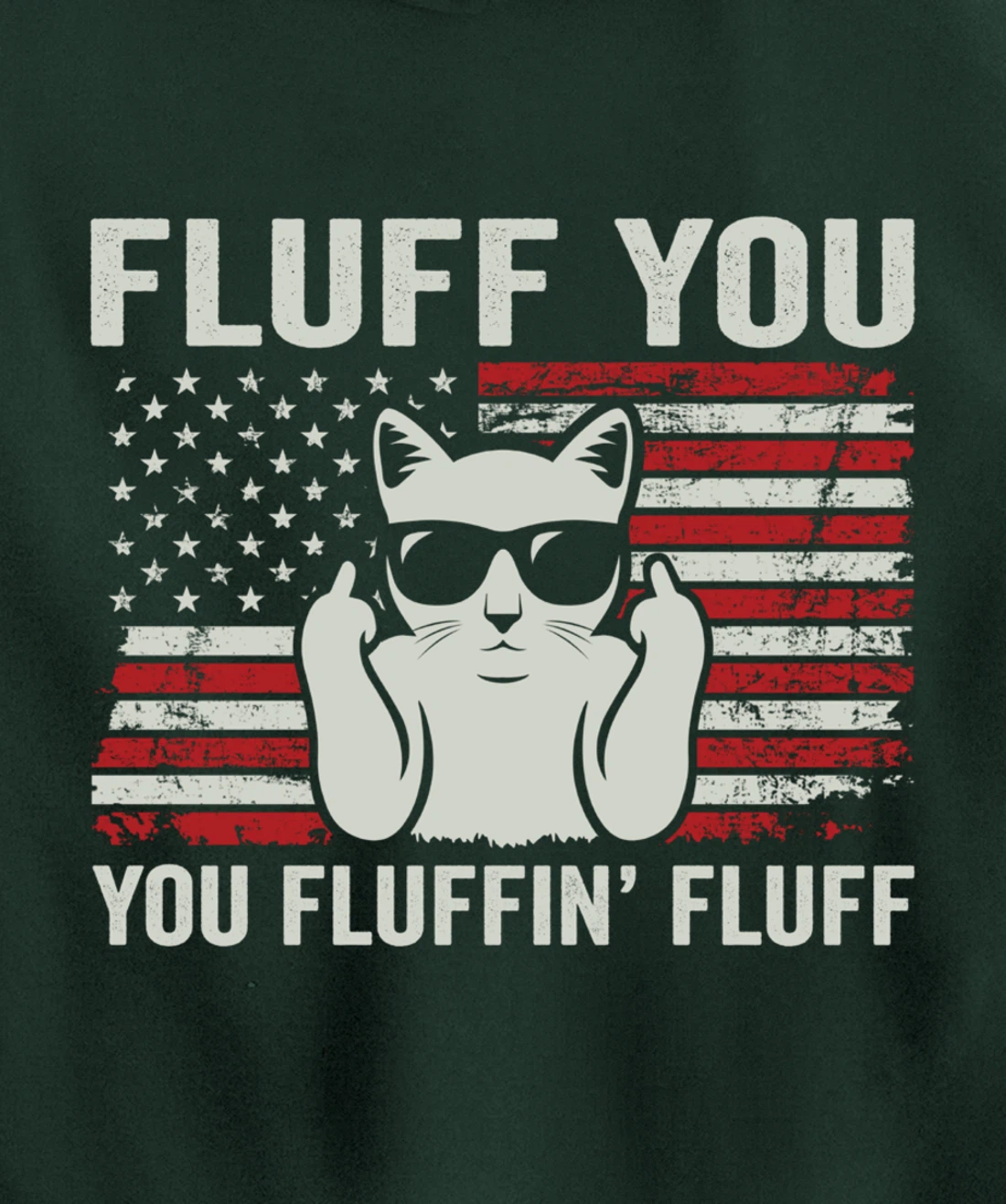 Fluff You Fluffin' Fluff - Funny Cat USA Flag (ON BACK) Pullover Hoodie