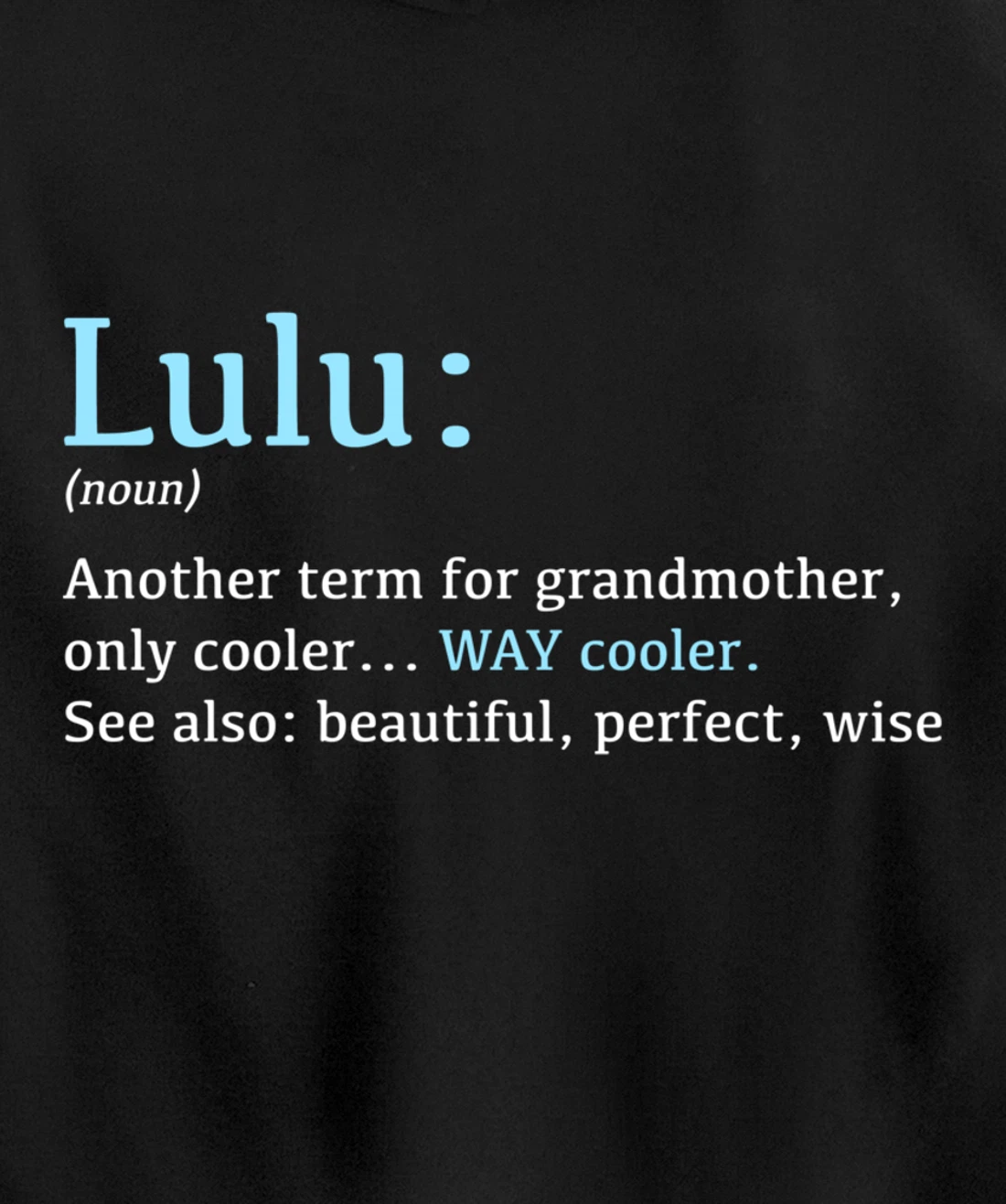 Lulu: Funny Definition Noun - Another Term Pullover Hoodie