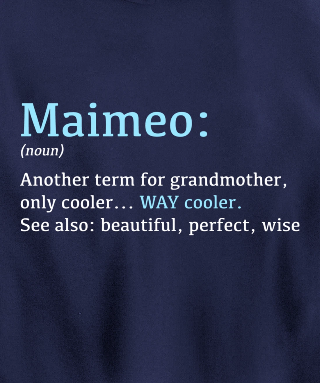 Maimeo: Funny Definition Noun - Another Term Pullover Hoodie