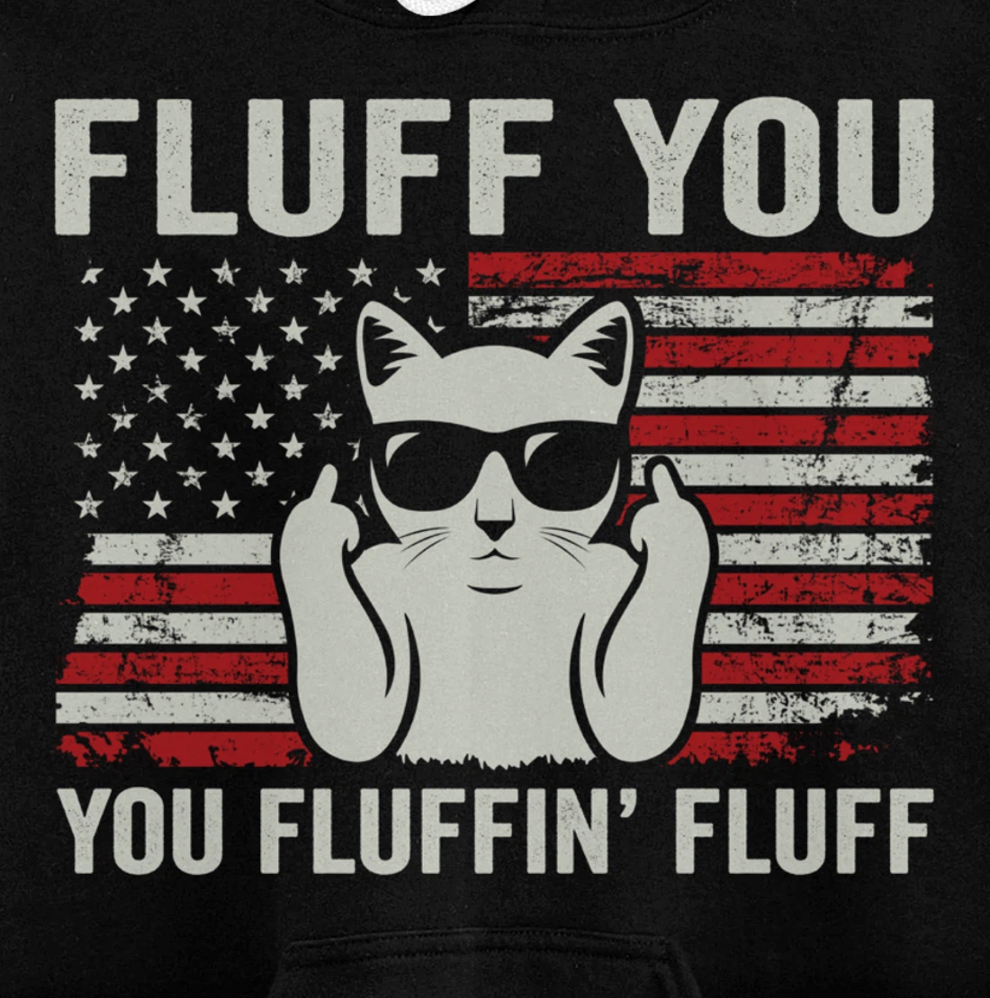 Fluff You Fluffin' Fluff - Funny Cat USA Flag (ON BACK) Pullover Hoodie