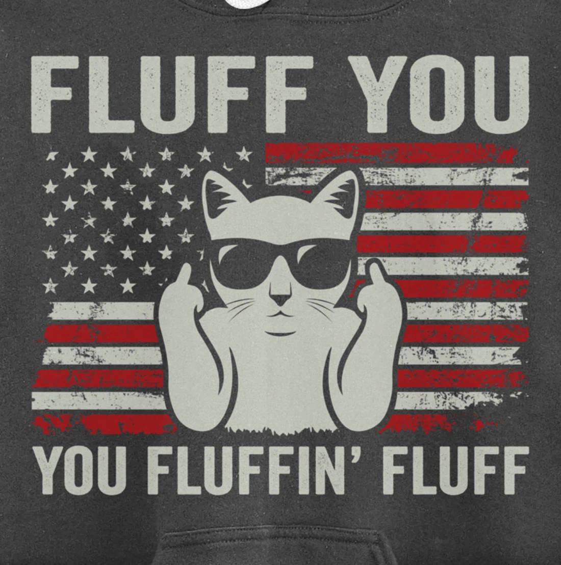 Fluff You Fluffin' Fluff - Funny Cat USA Flag (ON BACK) Pullover Hoodie
