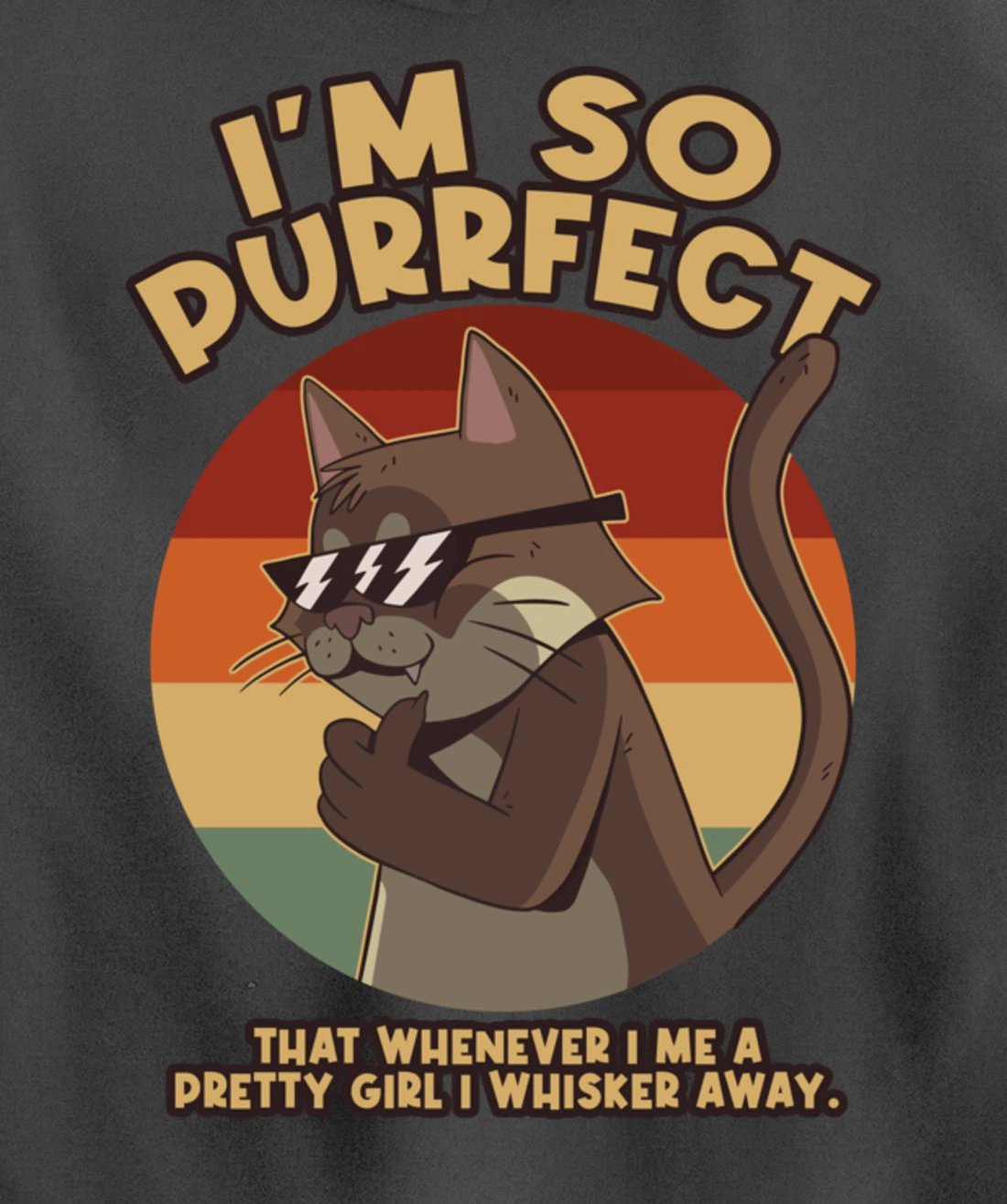 Im So Purrfect I Whisker Away Whiskers Pullover Hoodie