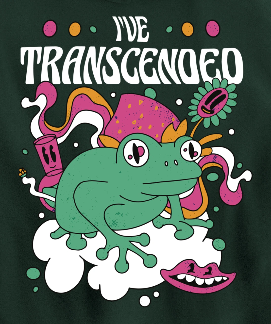 Funny I've Transcended Backside Party Pullover Hoodie